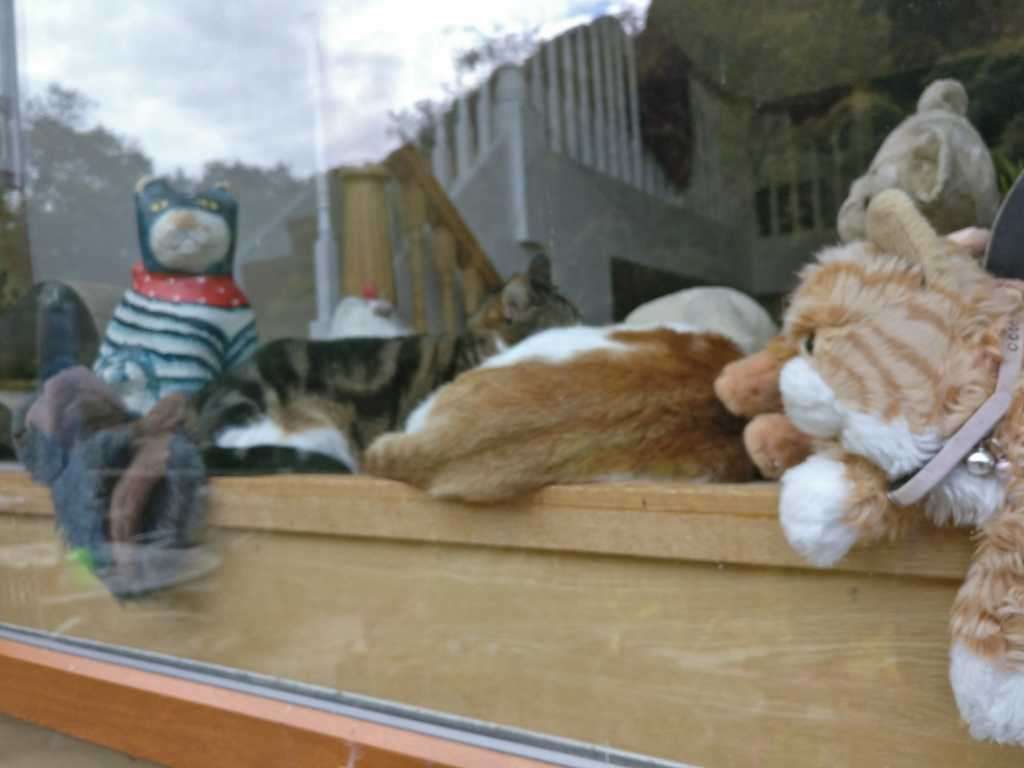 George and Gilbert indoors in February 2019