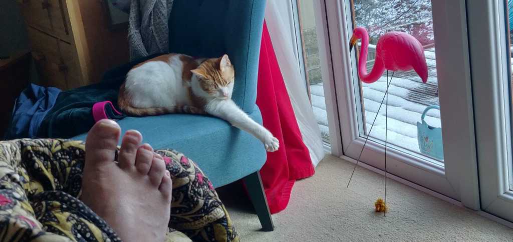 George and Gilbert indoors in February 2019