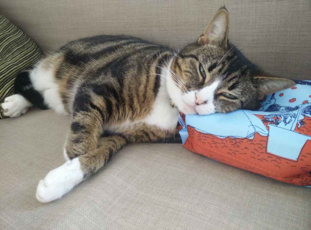Tabby cat sleeping on a couch with a patterned pillow