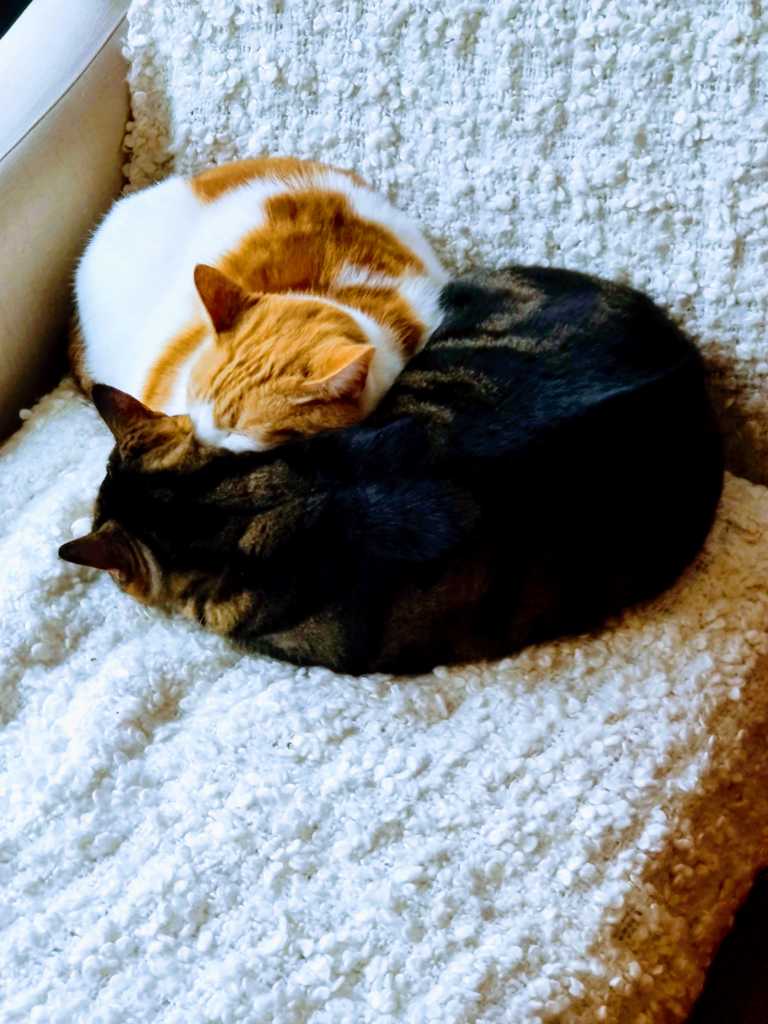 George and Gilbert in early 2020