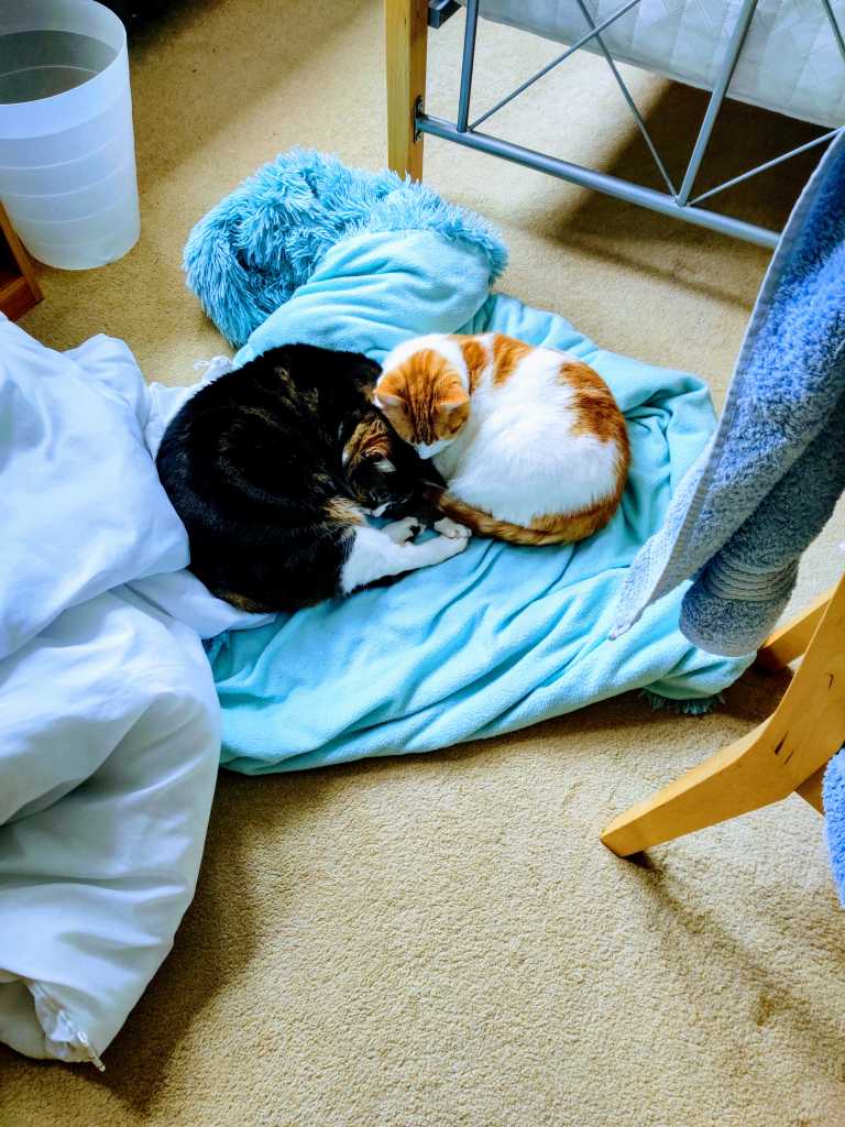 George and Gilbert in early 2020