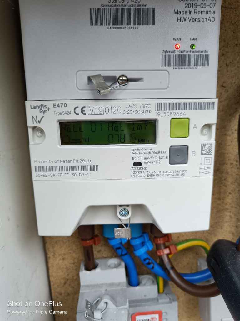 This image contains no cats. It shows a Landis+Gyr electricity meter. I can only write alt-text for cat photos on rooney.org.uk