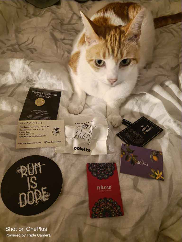 Ginger and white cat sits on a bed with various items