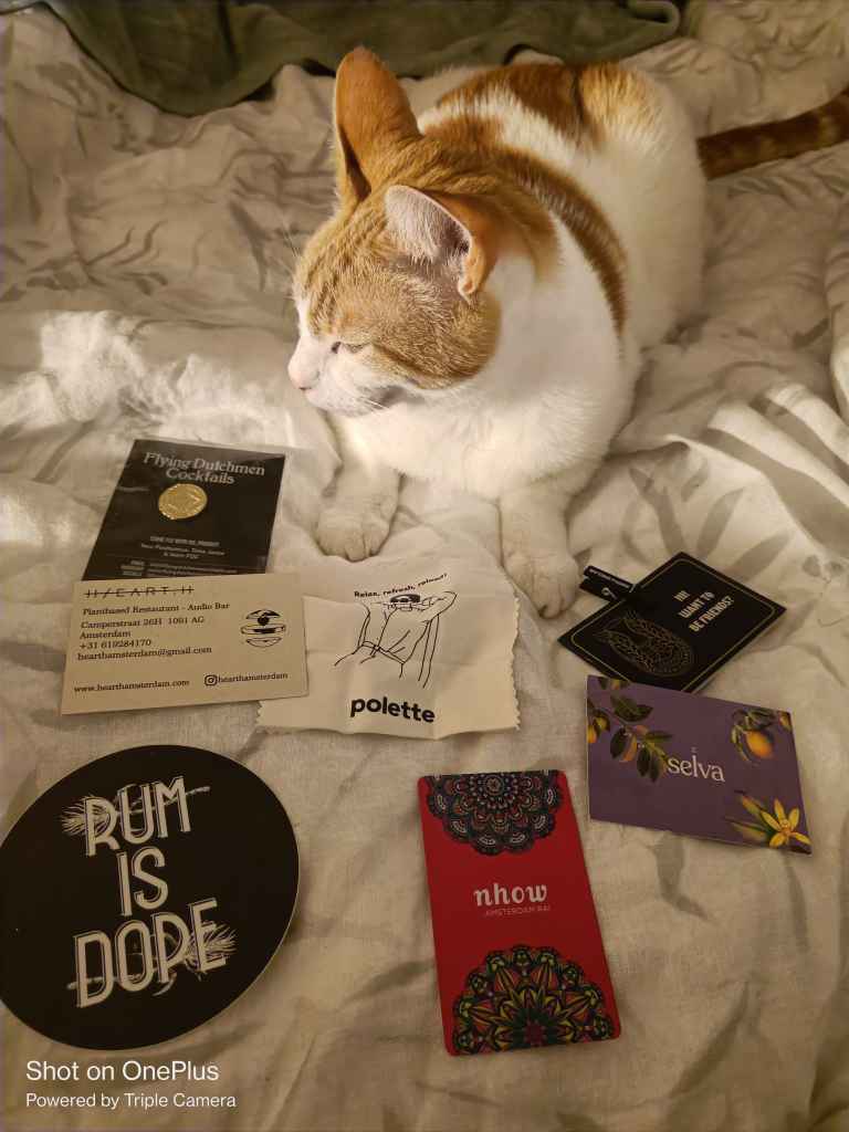 Ginger and white cat rests on a bed with various cards
