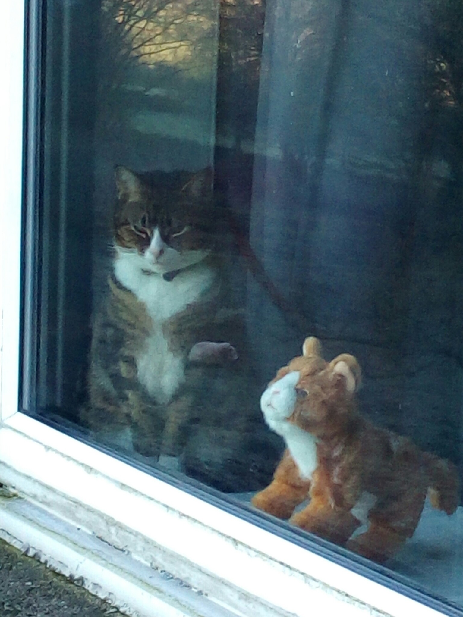 Tabby cat at a window beside a stuffed-toy cat