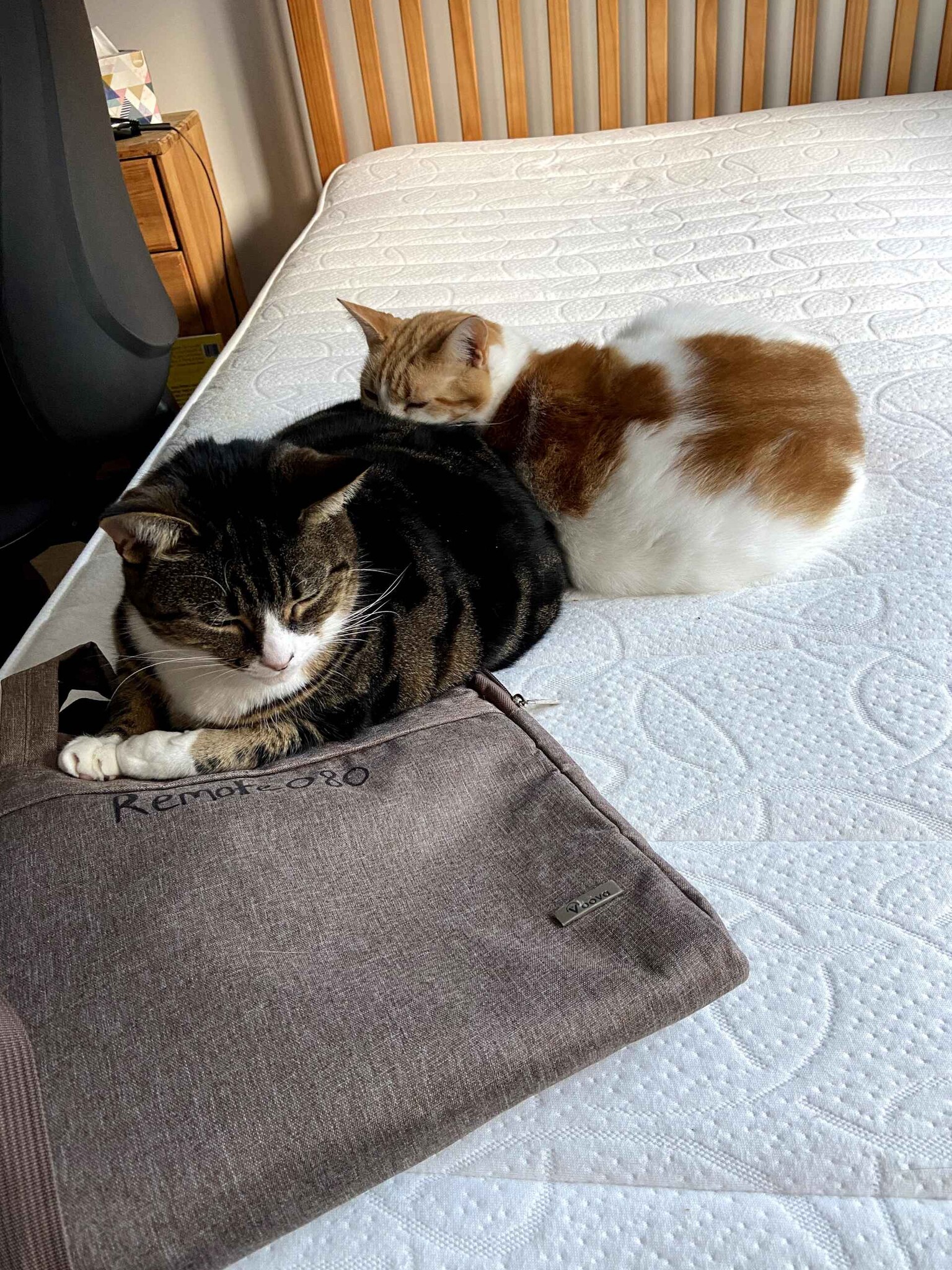 Two cats sleeping on a mattress next to a bag