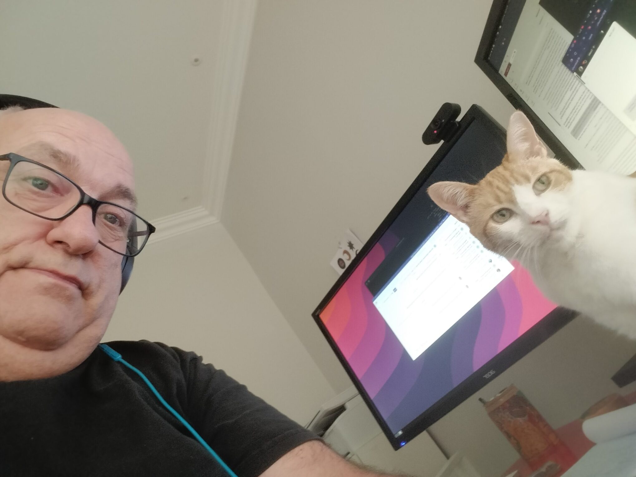 Ginger cat sitting at a desk surrounded by computer equipment